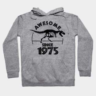 Awesome Since 1975 Hoodie